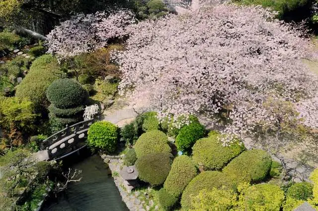 萃香園ホテル