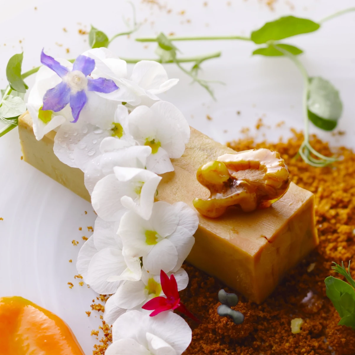 アイネス ヴィラノッツェ宝ヶ池