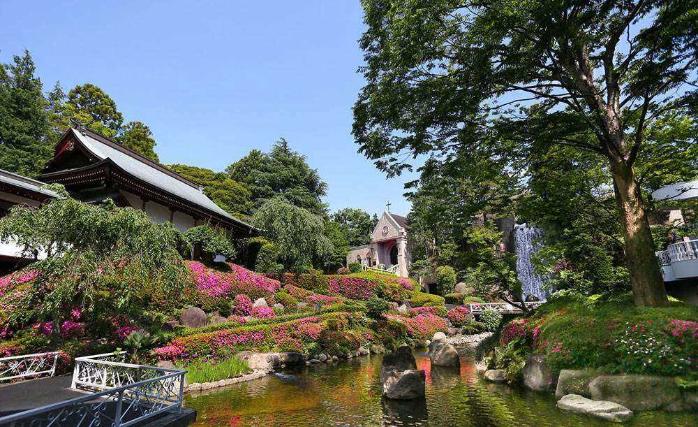 ロイヤルガーデンパレス 柏 日本閣