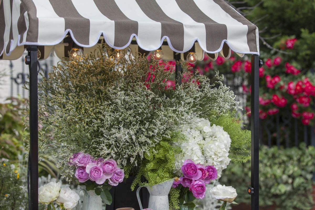 ザ・ジョージアンテラス