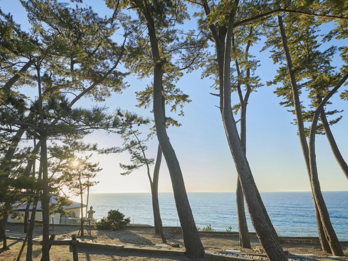 指帆亭 Shihantei Pine Tree Resort