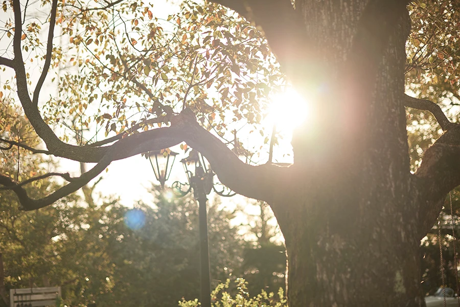 ル・シャン・ド・クク