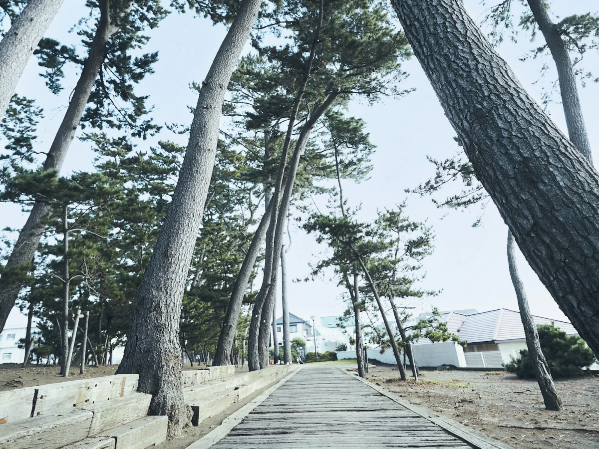 指帆亭 Shihantei Pine Tree Resort