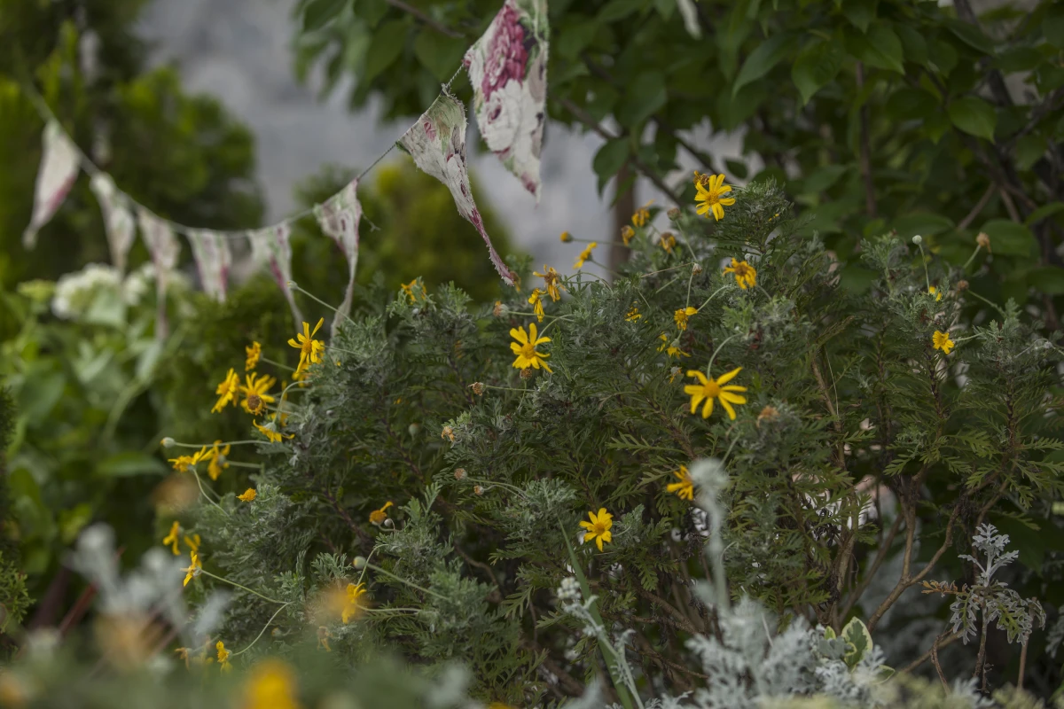 ザ・ジョージアンテラス