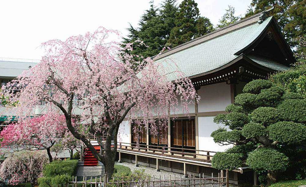 ロイヤルガーデンパレス 柏 日本閣