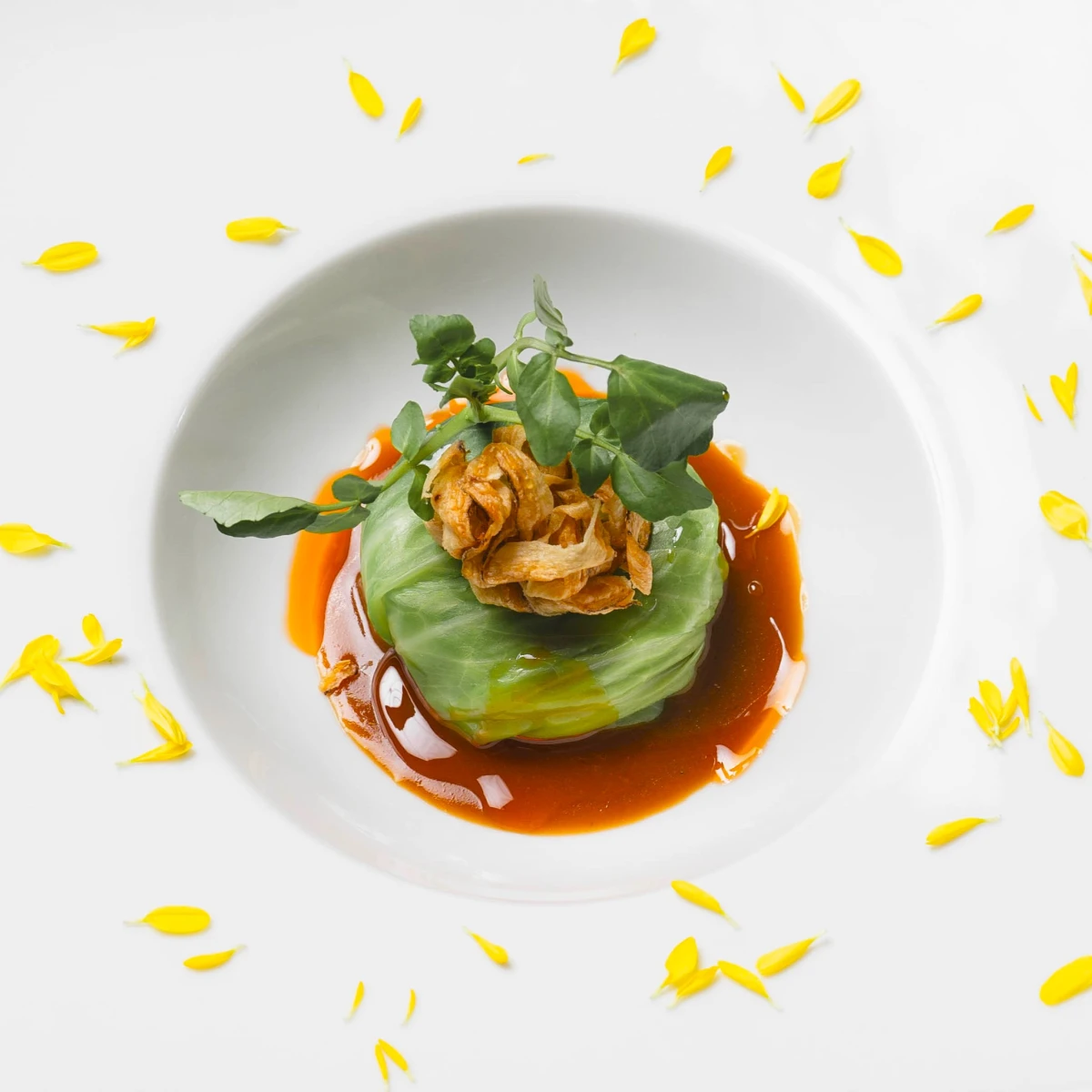 アイネス ヴィラノッツェ宝ヶ池