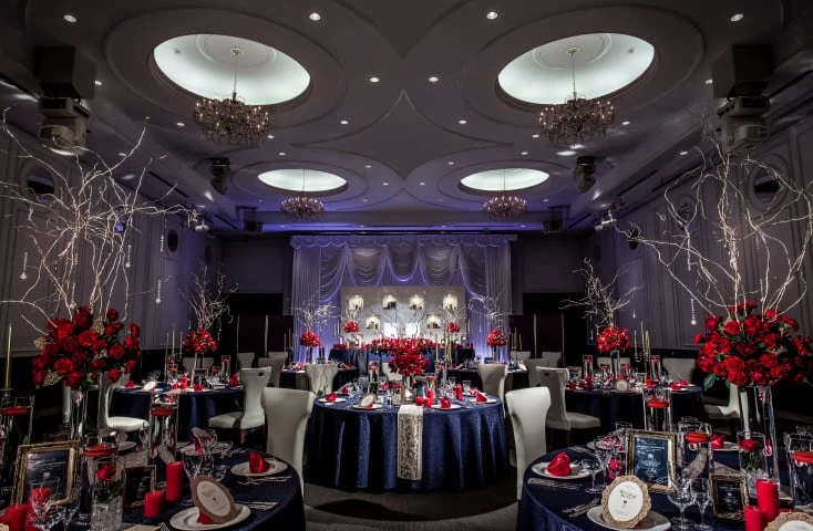 迎賓館シェーナ-PARTIR KYOTO-:アレグリア