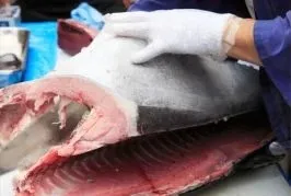 727_SpemoLOUNGE新橋