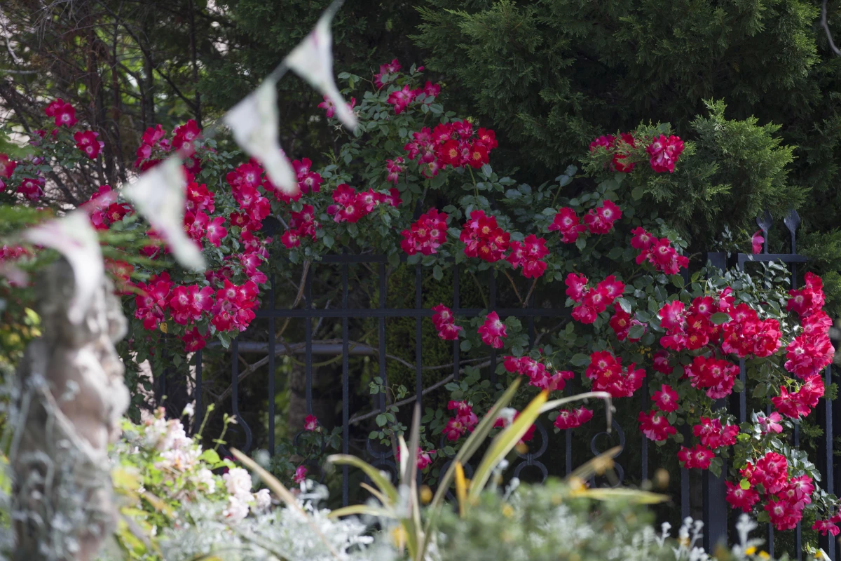 ザ・ジョージアンテラス