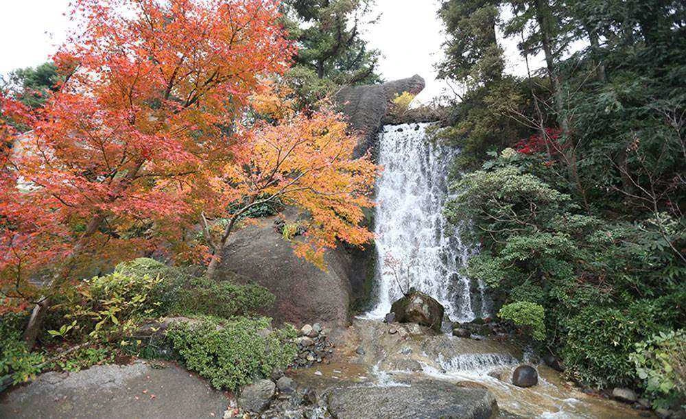 ロイヤルガーデンパレス 柏 日本閣