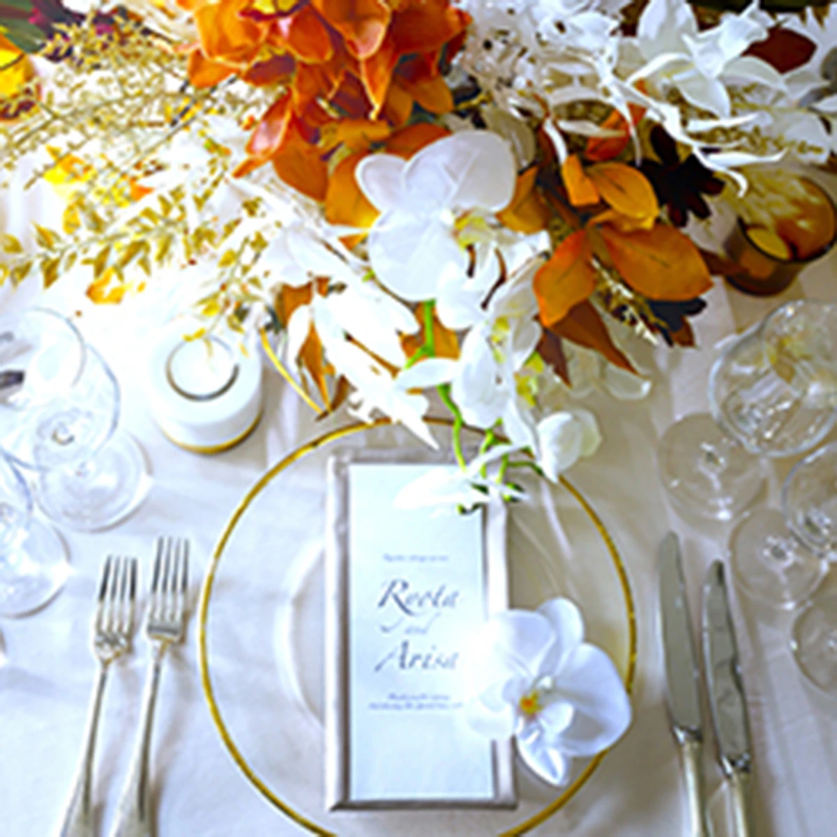 アイネス ヴィラノッツェ宝ヶ池:カーサ デル ミーテ